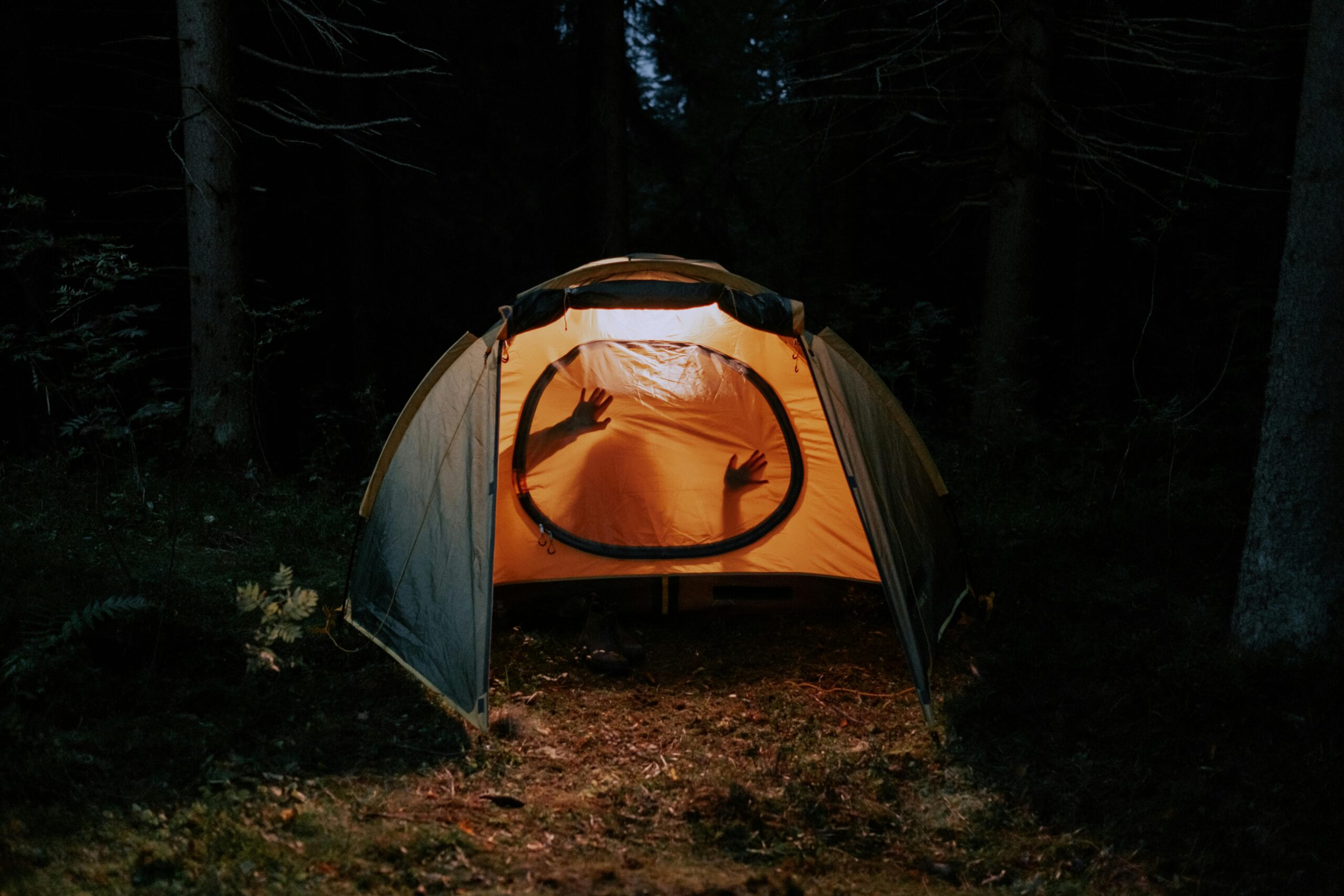 A mysterious silhouette is seen inside an illuminated tent in a dark forest, suggesting adventure and intimacy under night skies.